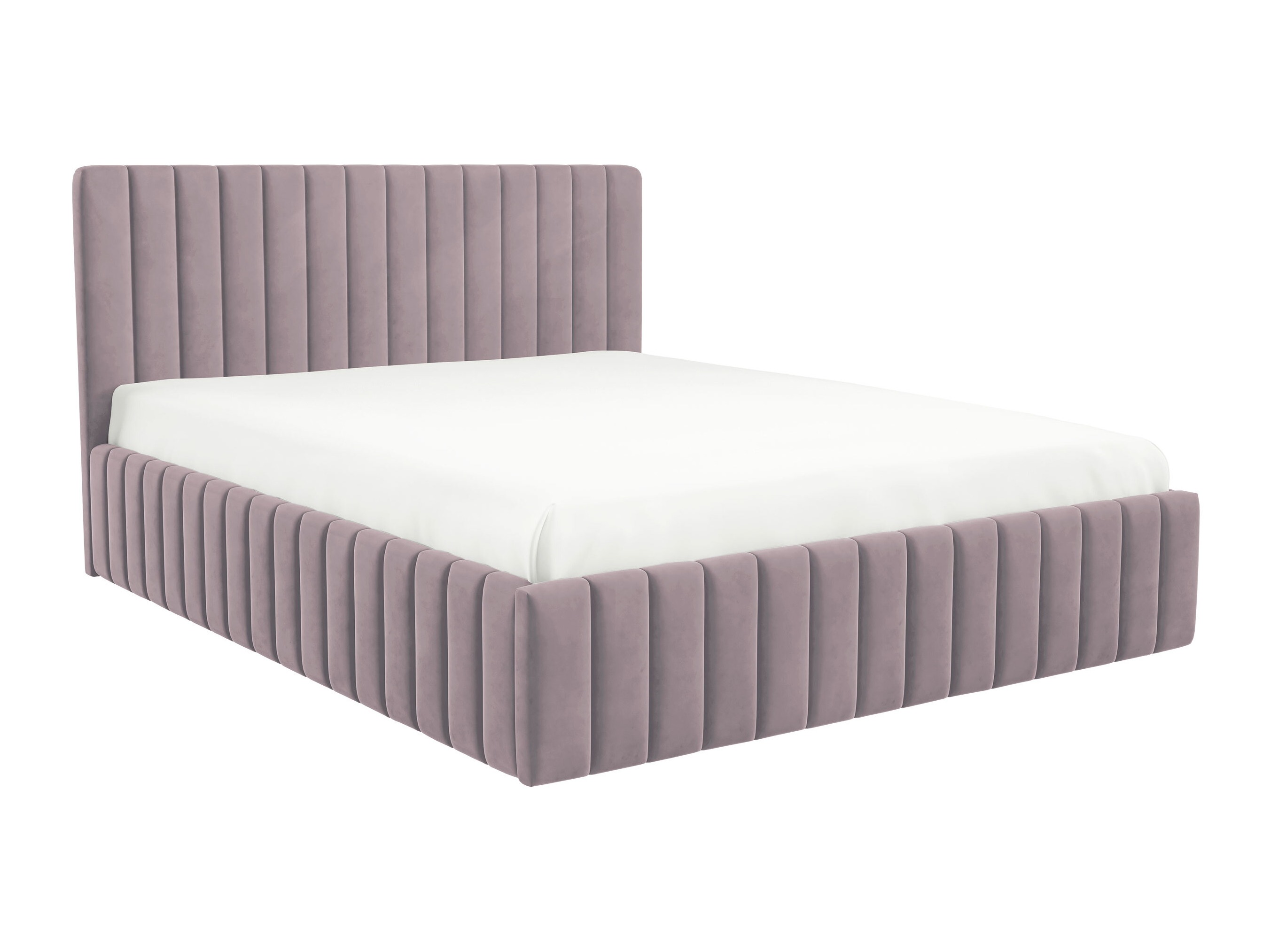 Bed Iris (Fresh 9)