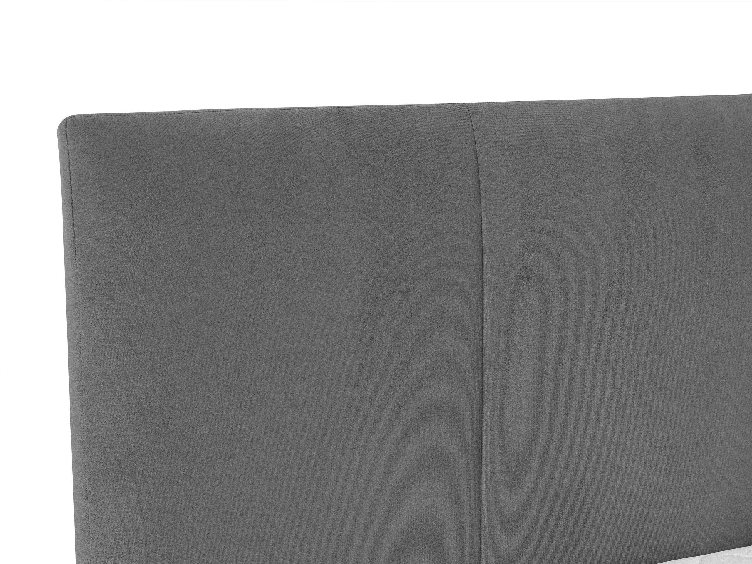 Continental bed Oppidum (Lambi 11)