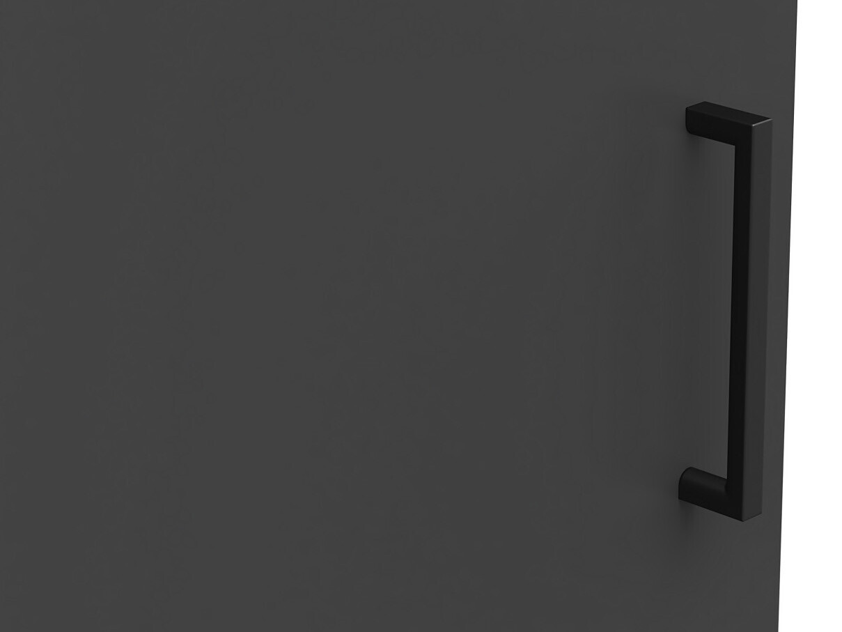Bookcase Fenopha 165 (Graphite)