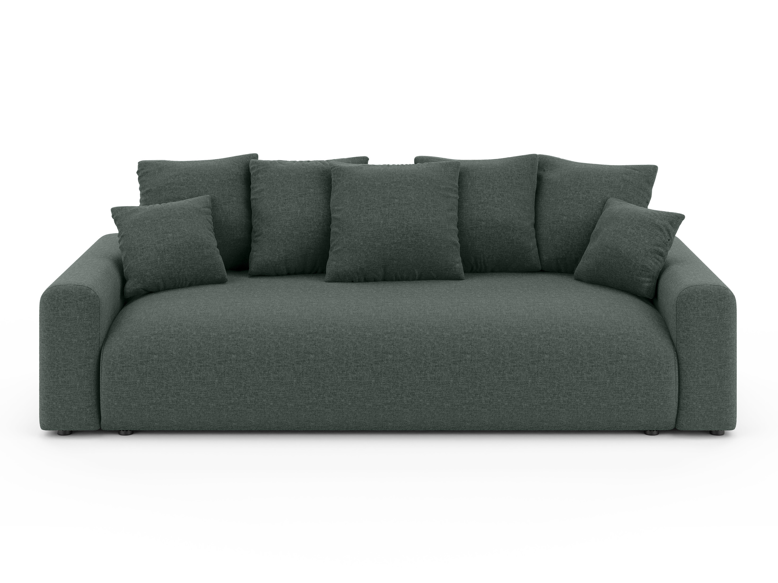 Sofa bed Rocklin 219 (Wind 75)