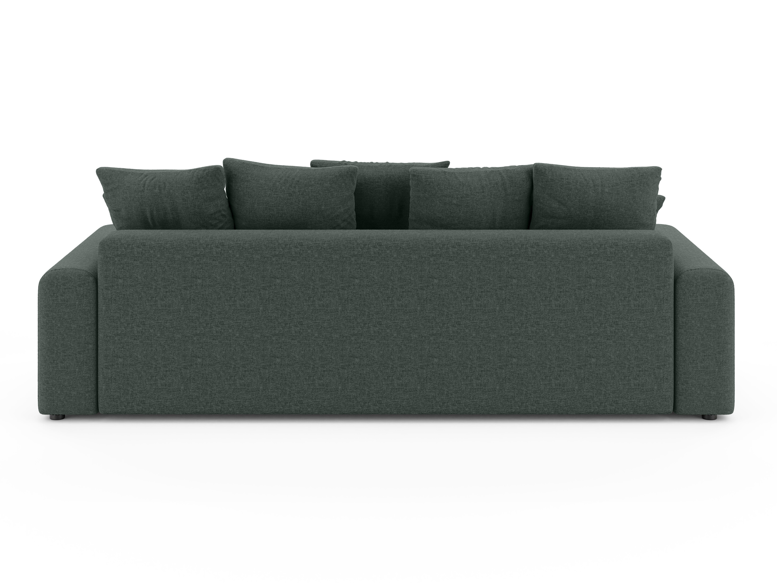 Sofa bed Rocklin 219 (Wind 75)