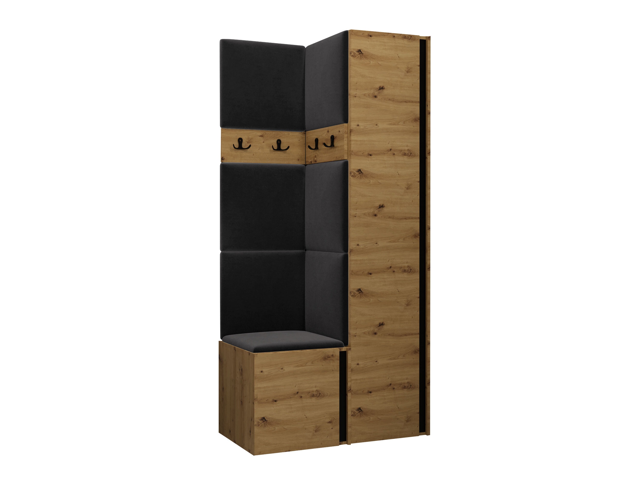 Hallway set Pinis XXIV (Artisan oak + Black)