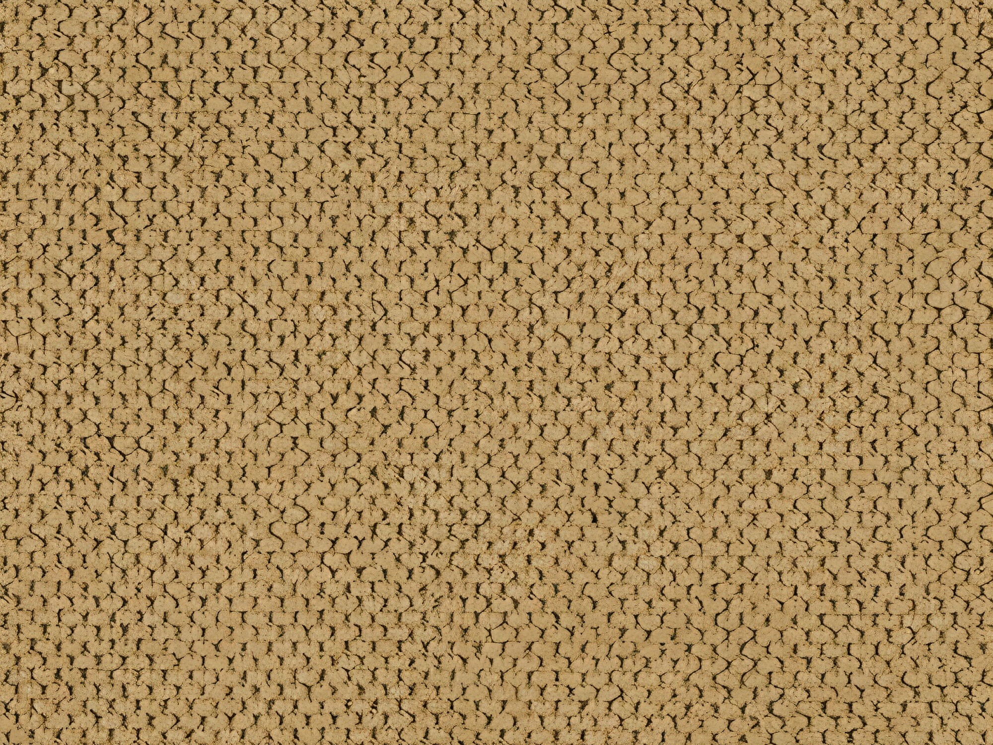 Sofa bed Carson 147 (Cruz 48)