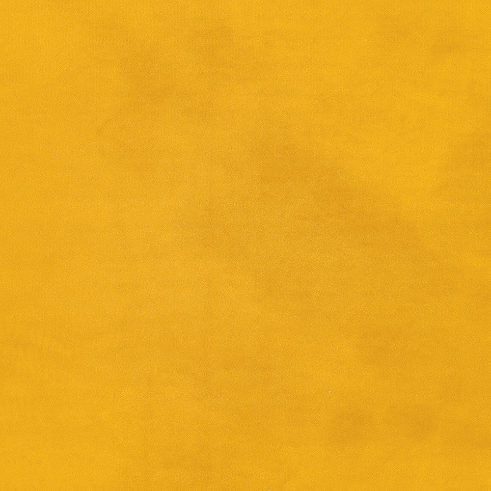 Chair Detroit 755 (Bluvel 68)