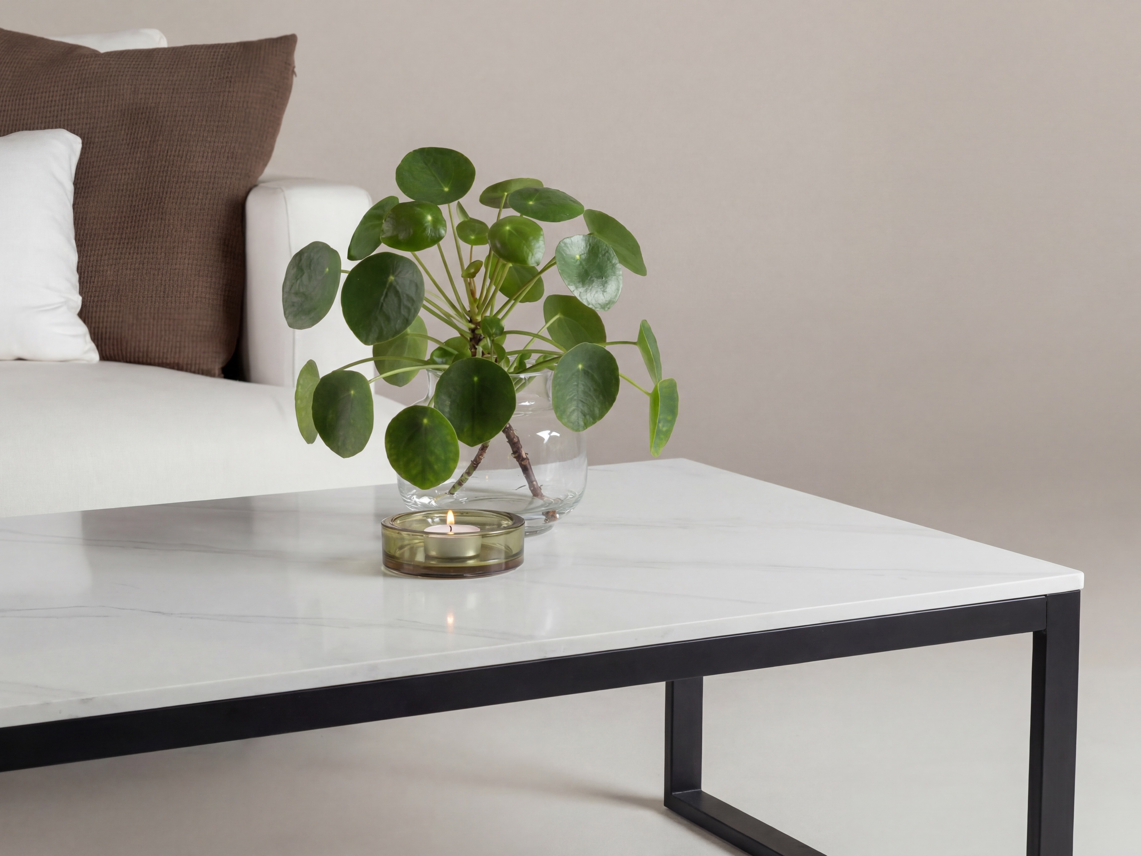 Coffee table Dallas 5356
