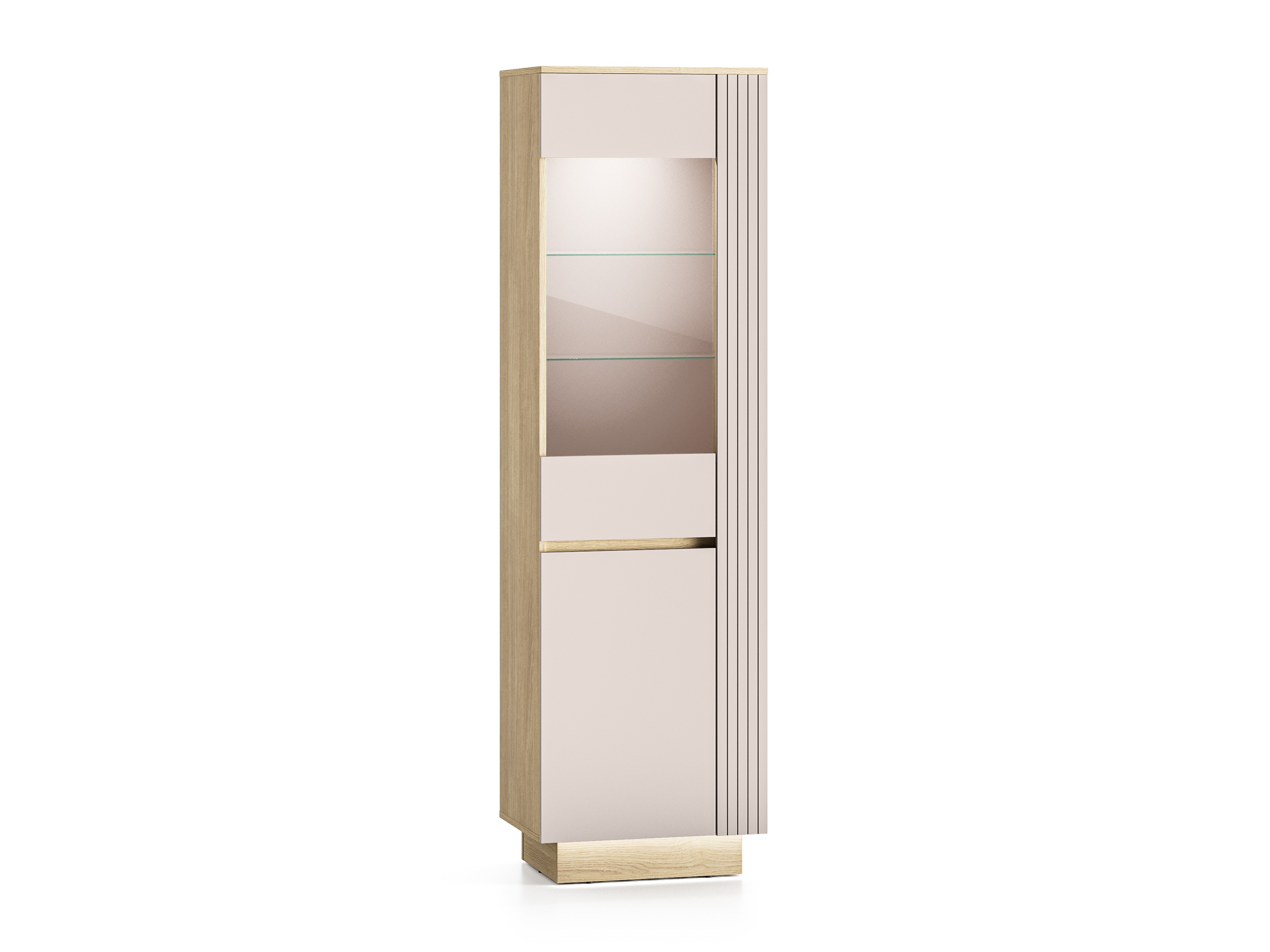 Bookcase Revtive 100