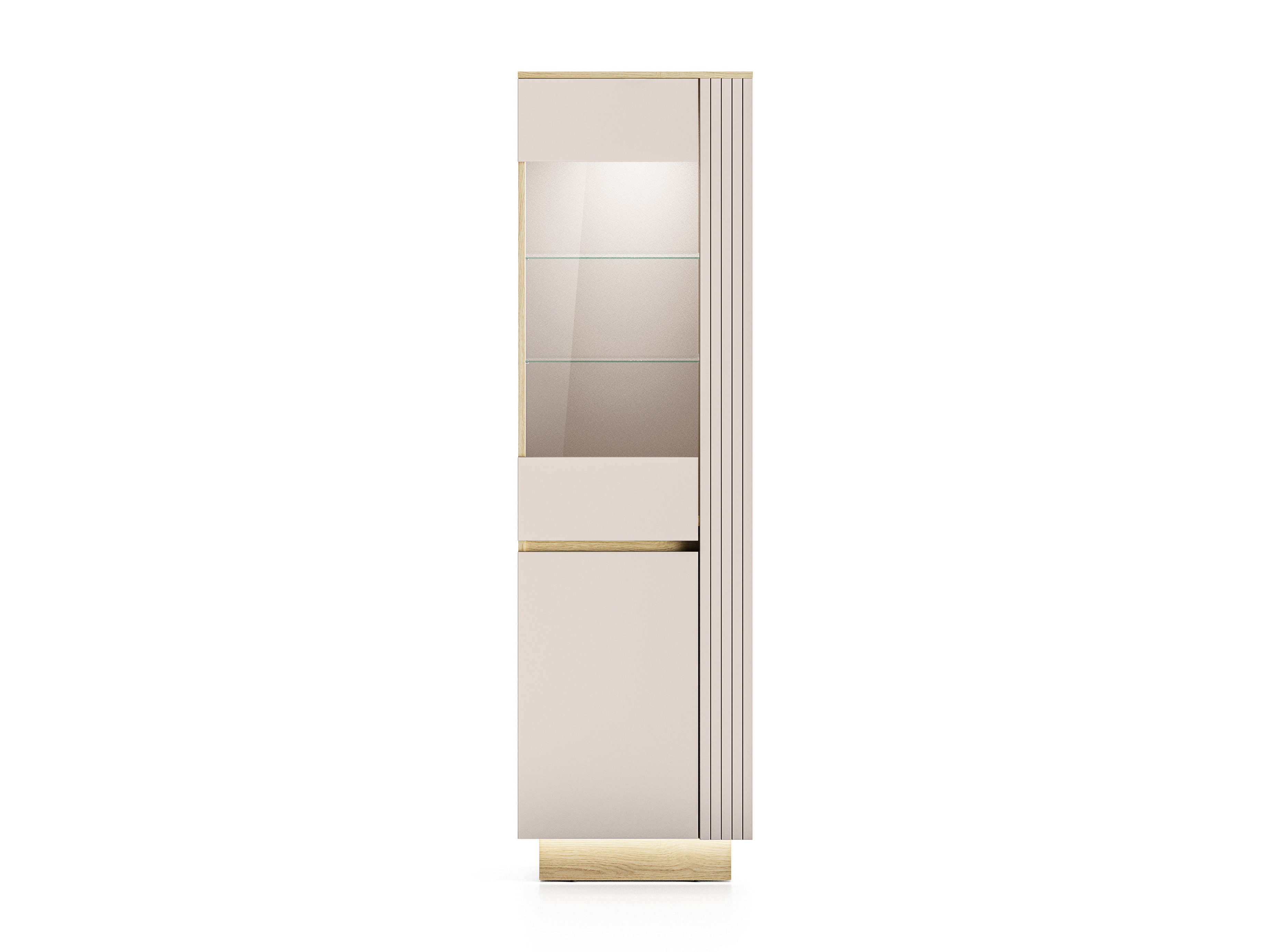 Bookcase Revtive 100