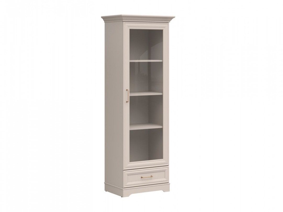 Bookcase Evanuo 106